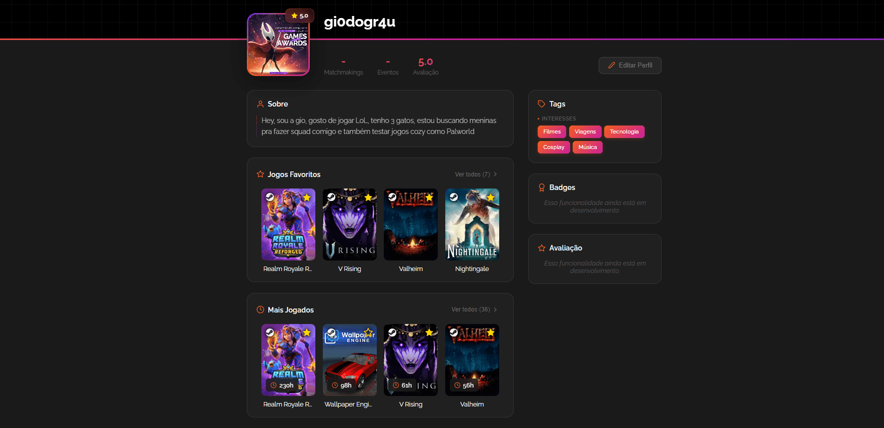 Perfil na plataforma